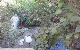 appartement centre vue jardin